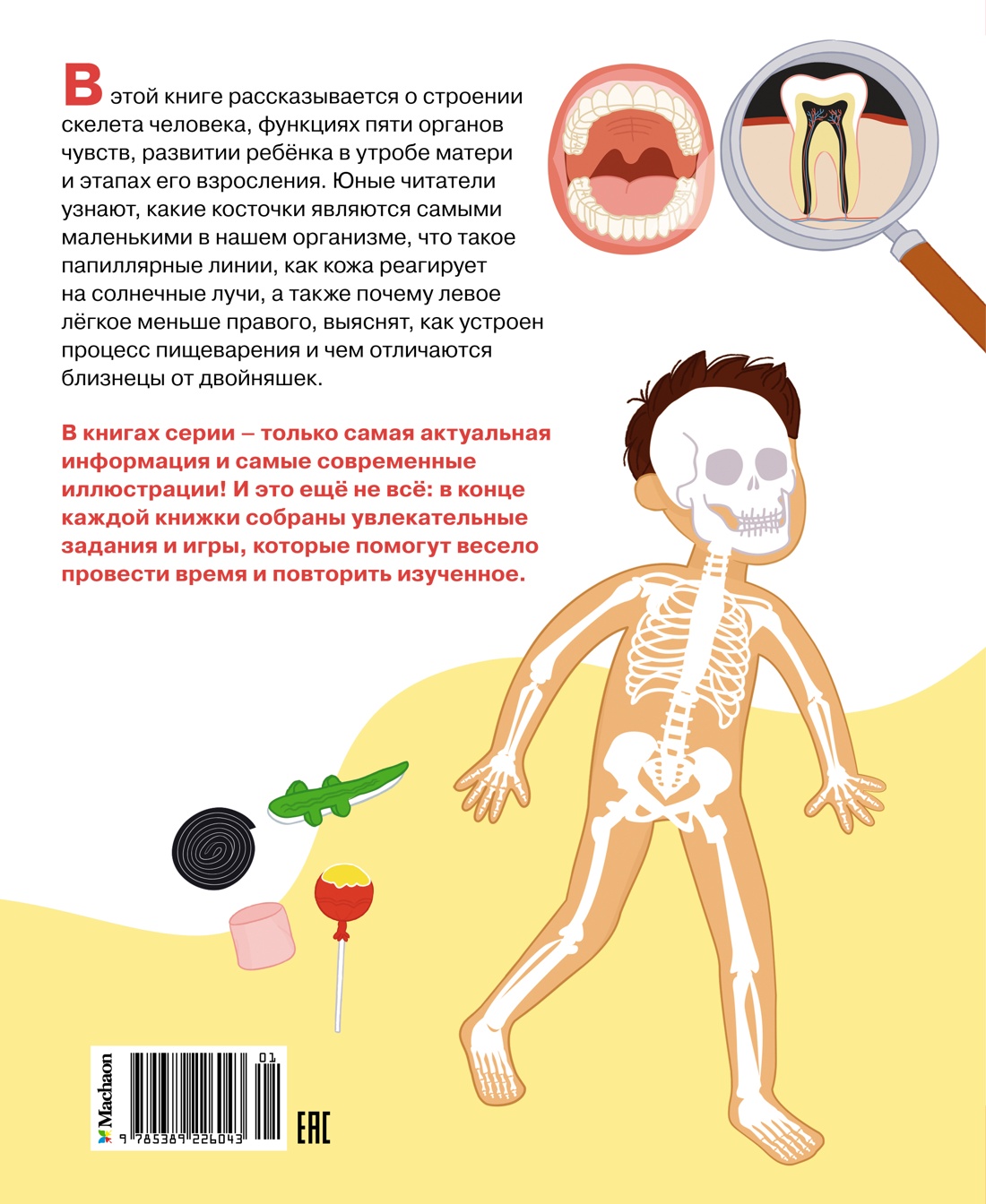 Книга Махаон Как устроено тело человека - фото 17