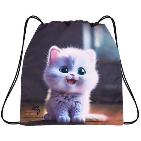 Мешок для обуви School Standard