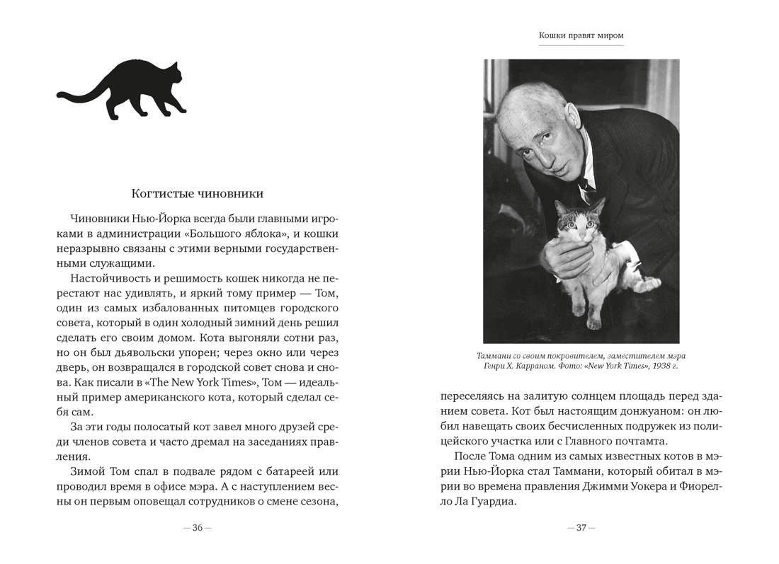 Книга АЗБУКА Диаз Мигель А Педраза Э Кошки правят миром - фото 18