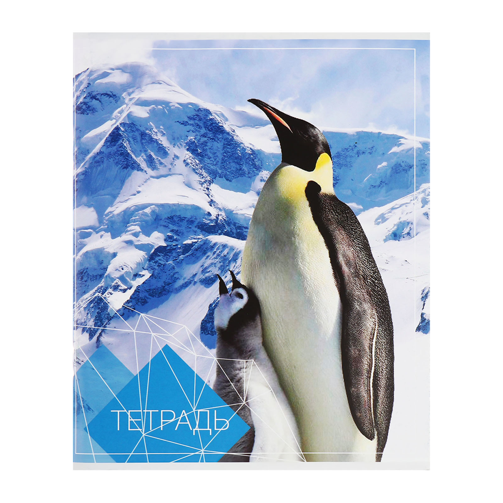 Общая тетрадь Calligrata клетка 96 лист. 4 шт. - фото 3