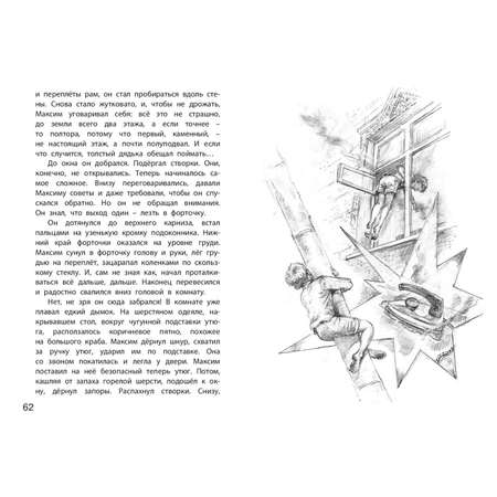 Книга ЭНАС-книга Болтик