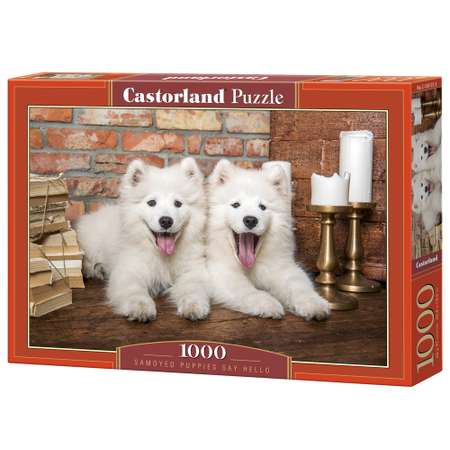 Пазл Castorland классический