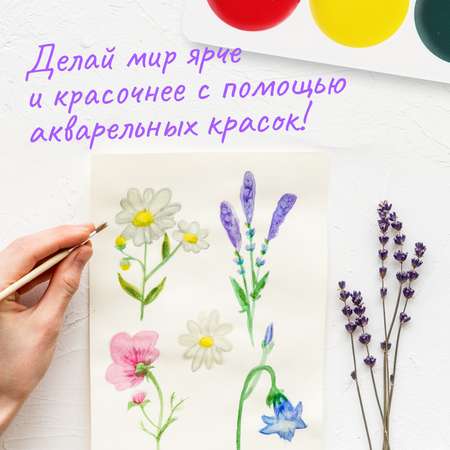 Краски акварель ПАНДАРОГ 12 цв.