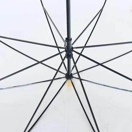 Зонт-трость Torm