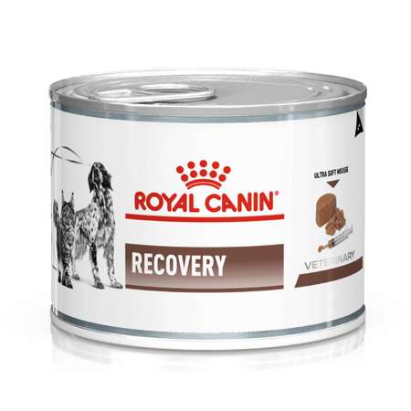 Корм для кошек-собак ROYAL CANIN Recovery Feline-Canine при анорексии 0.195кг