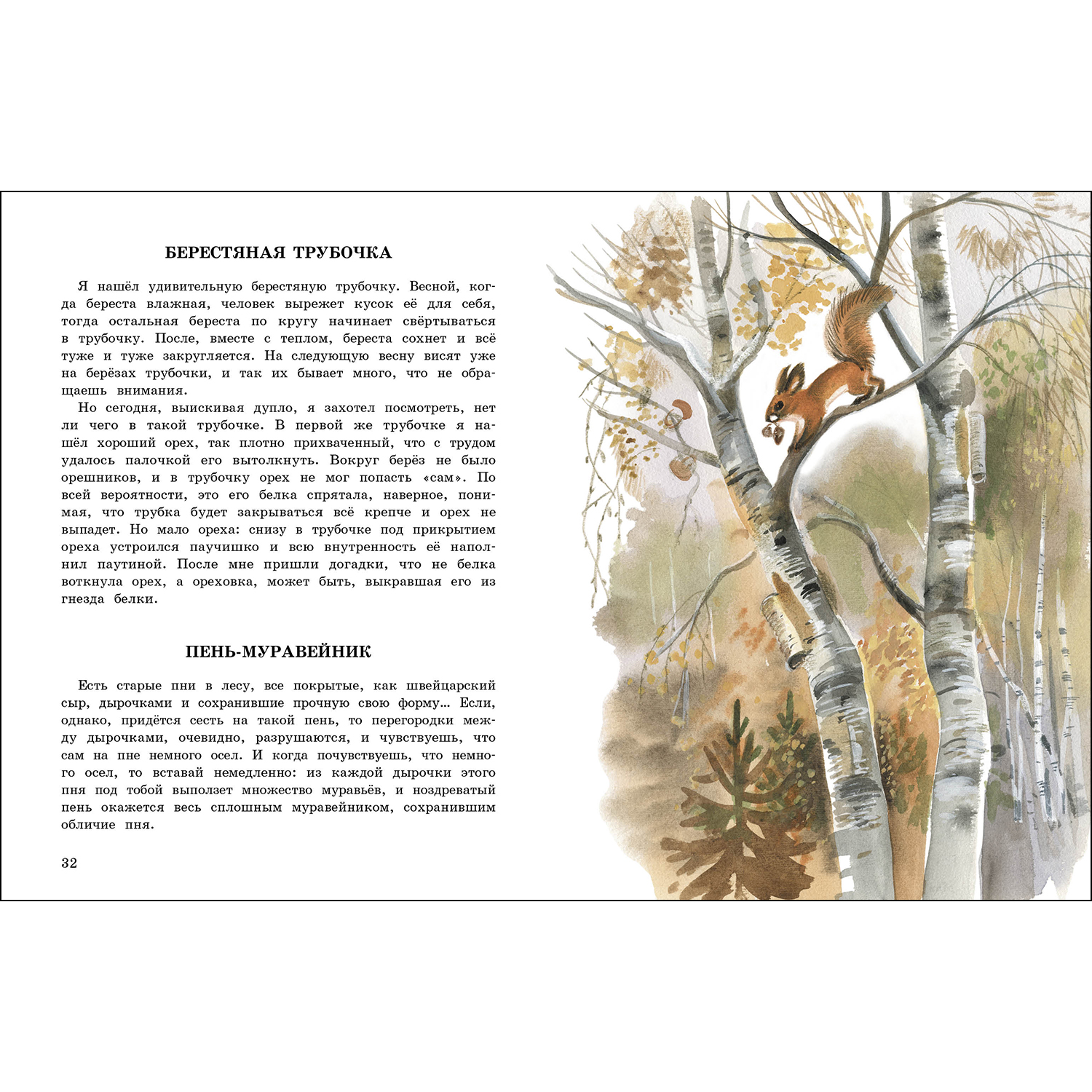 Книга СТРЕКОЗА Рассказы - фото 4