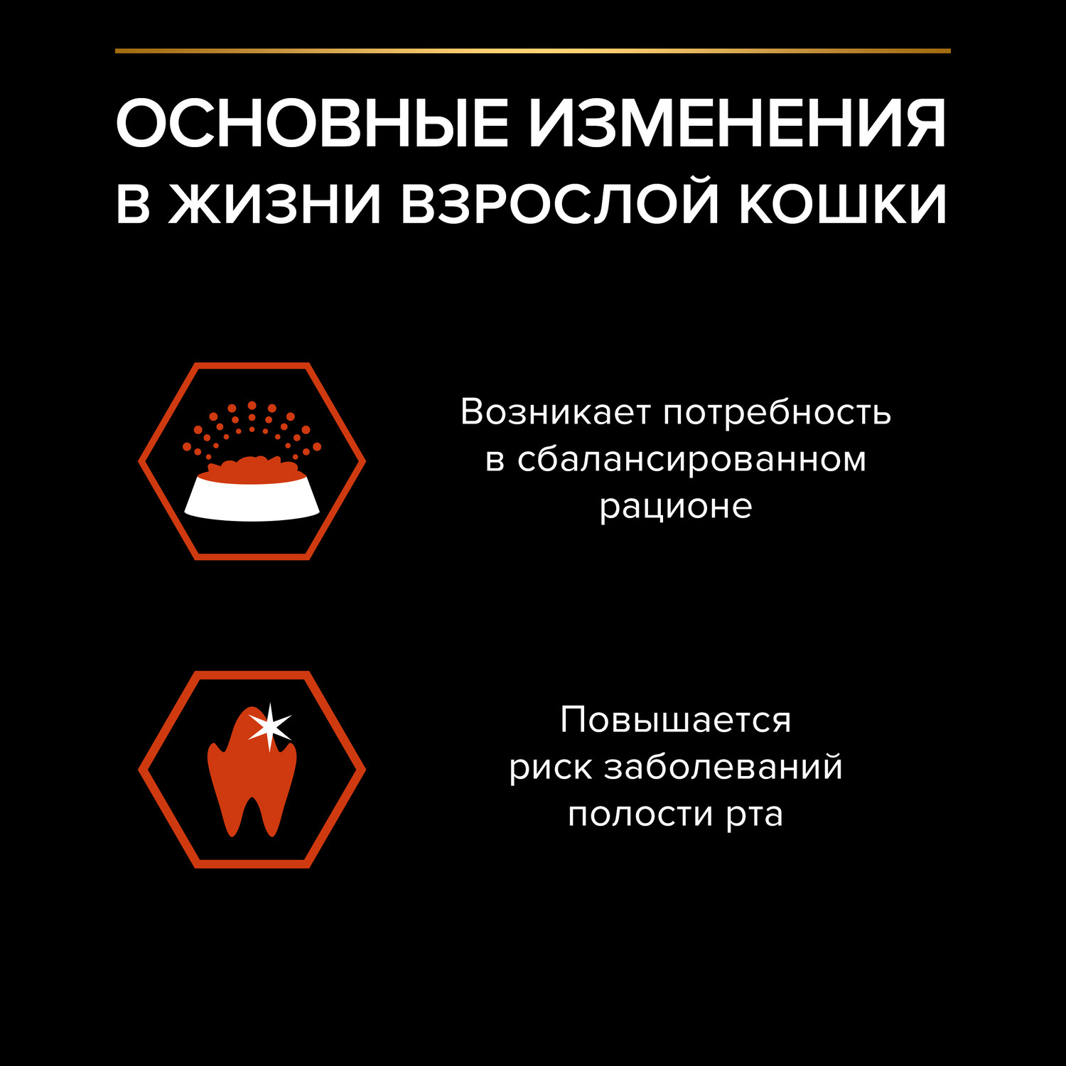 Корм сухой для кошек PRO PLAN VITAL FUNCTIONS 10 кг с лососем - фото 3