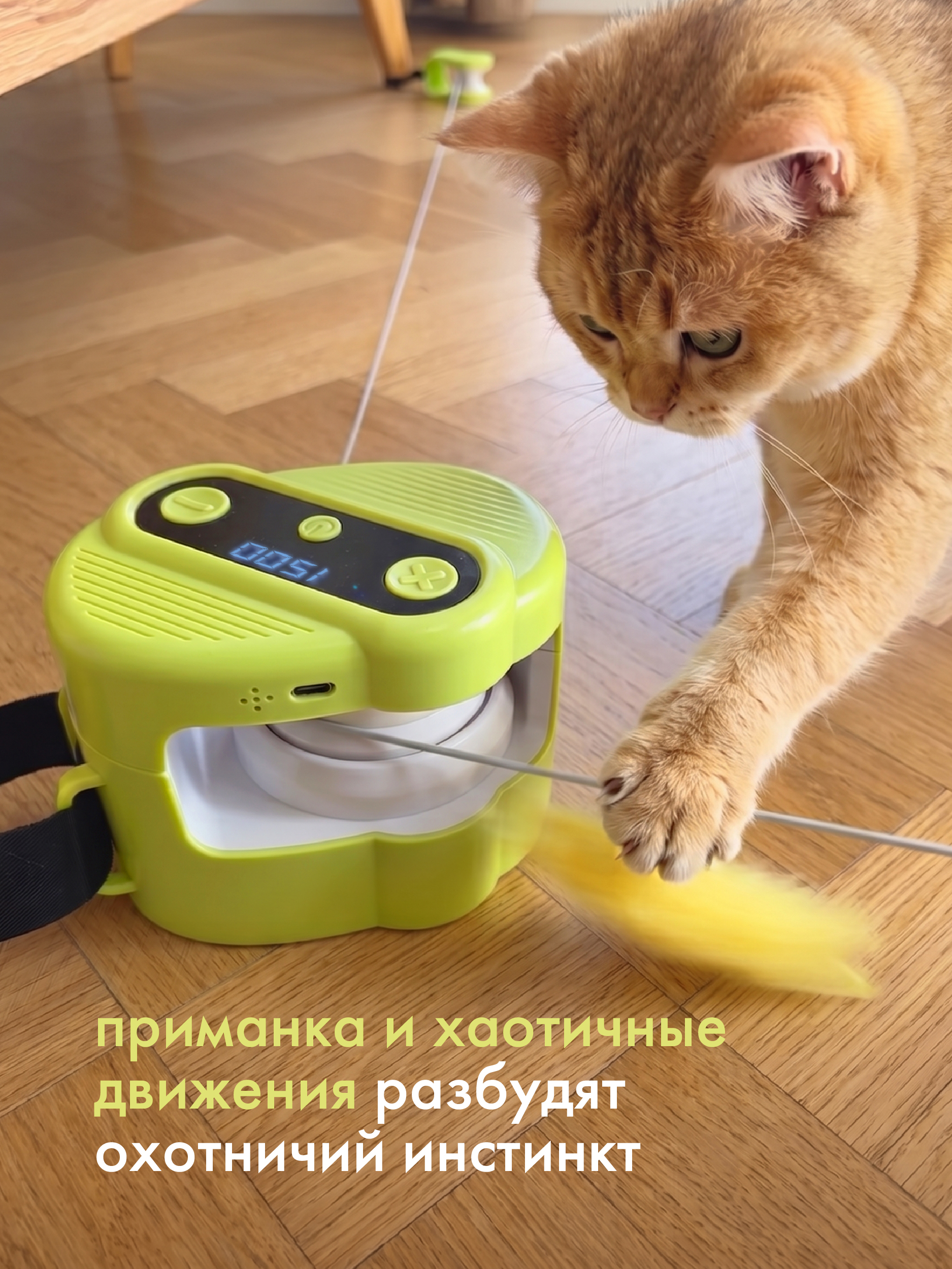 Интерактивная игрушка для кошек Pet Flat дразнилка магический ринг Magic Ring - фото 2