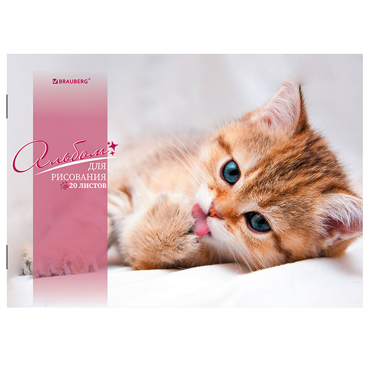 Альбом Brauberg А4 20 лист. 4 шт. - фото 4