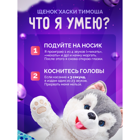 Мягкая игрушка SHARKTOYS собачка