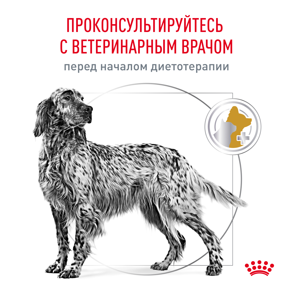 Корм для собак ROYAL CANIN Veterinary Diet Urinary S/O LP 18 при заболеваниях дистального отдела мочевыделительной системы 13кг - фото 9