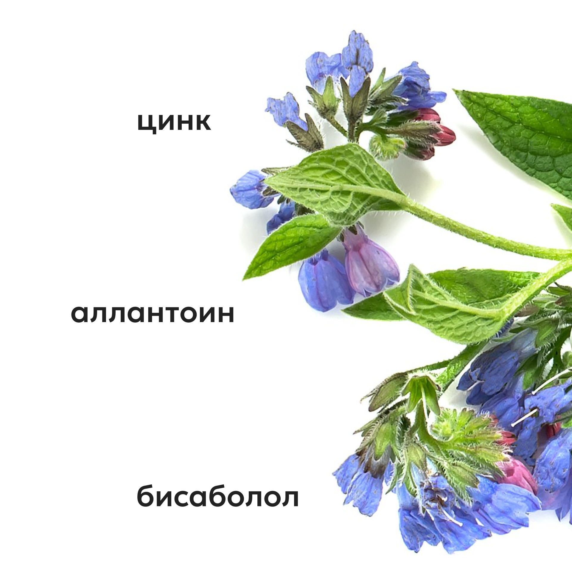 Лосьон Likato Professional - фото 5