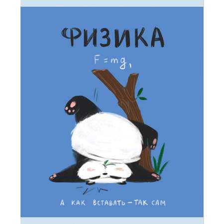 Тетрадь Listoff 48 лист. (Физика)