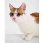 Очки для собак и кошек Зоозавр