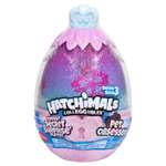 Игровой набор Hatchimals