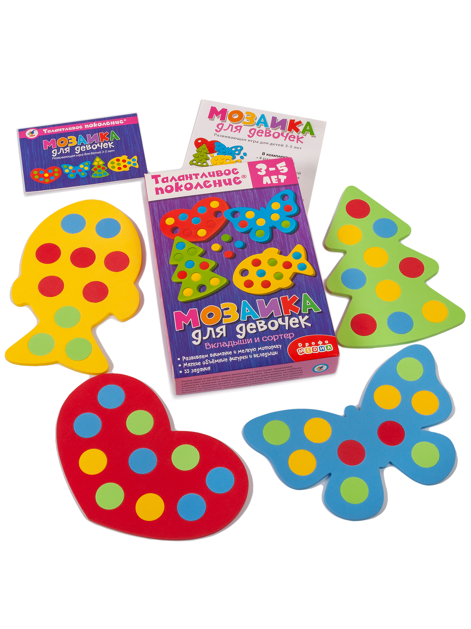 Игрушка Дрофа-Медиа Талантливое поколение - фото 3
