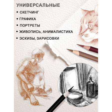 Уголь ACMELIAE 6 шт.