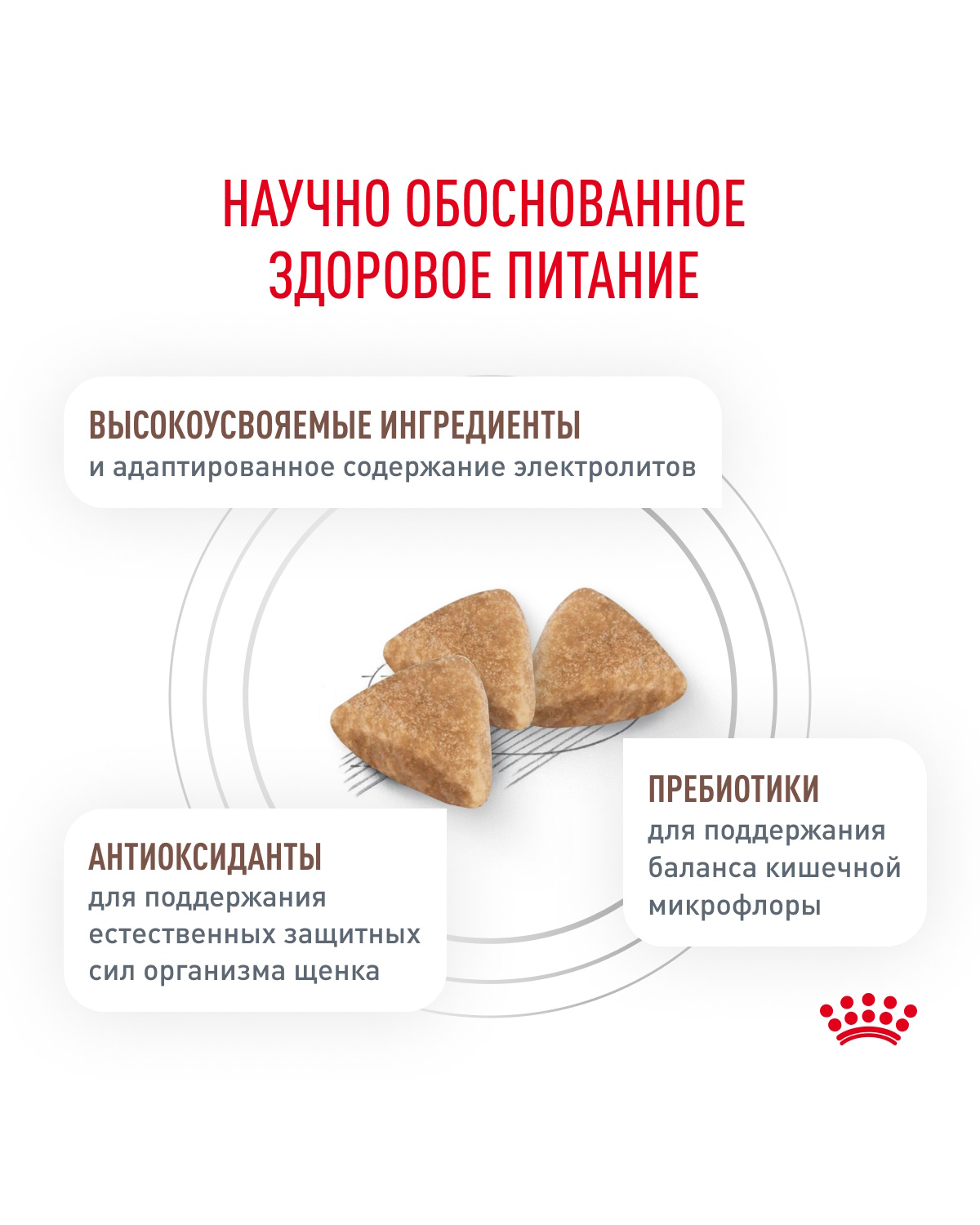 Корм для щенков ROYAL CANIN Gastro Intestinal Junior GIJ29 при нарушениях пищеварения 10кг - фото 4