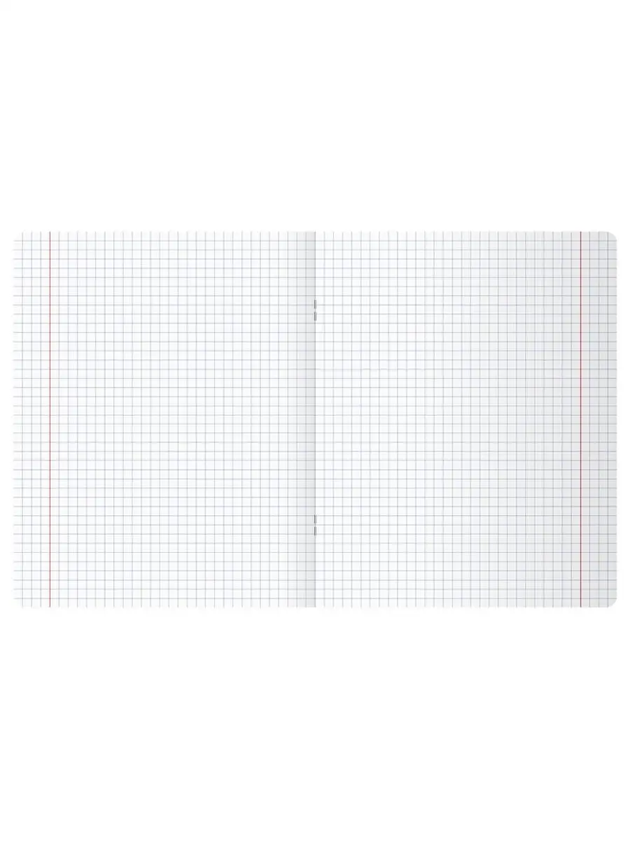 Тетрадь BG 48 лист. 12 шт. (Алгебра, Английский язык, Биология, Физика, География, Геометрия, Химия, Информатика, История, Литература, Обществознание, Русский язык) - фото 5