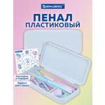 Пенал футляр Brauberg