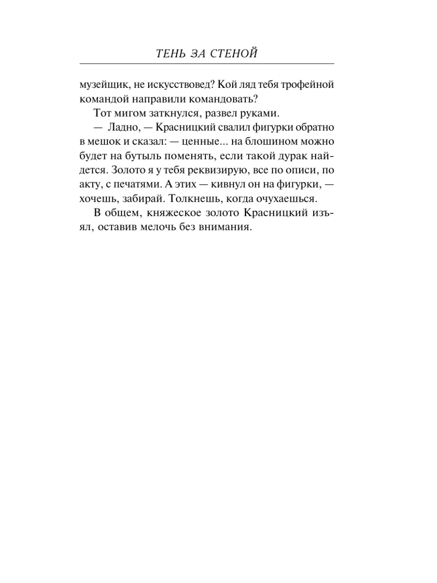 Книга Эксмо Тень за стеной - фото 14