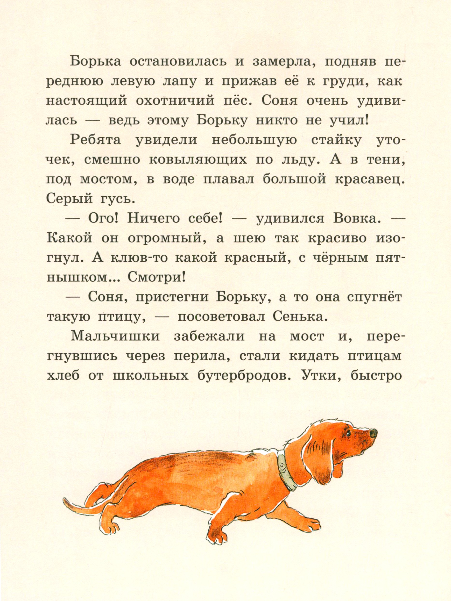 Книга Стрекозa Борька брысь! - фото 6