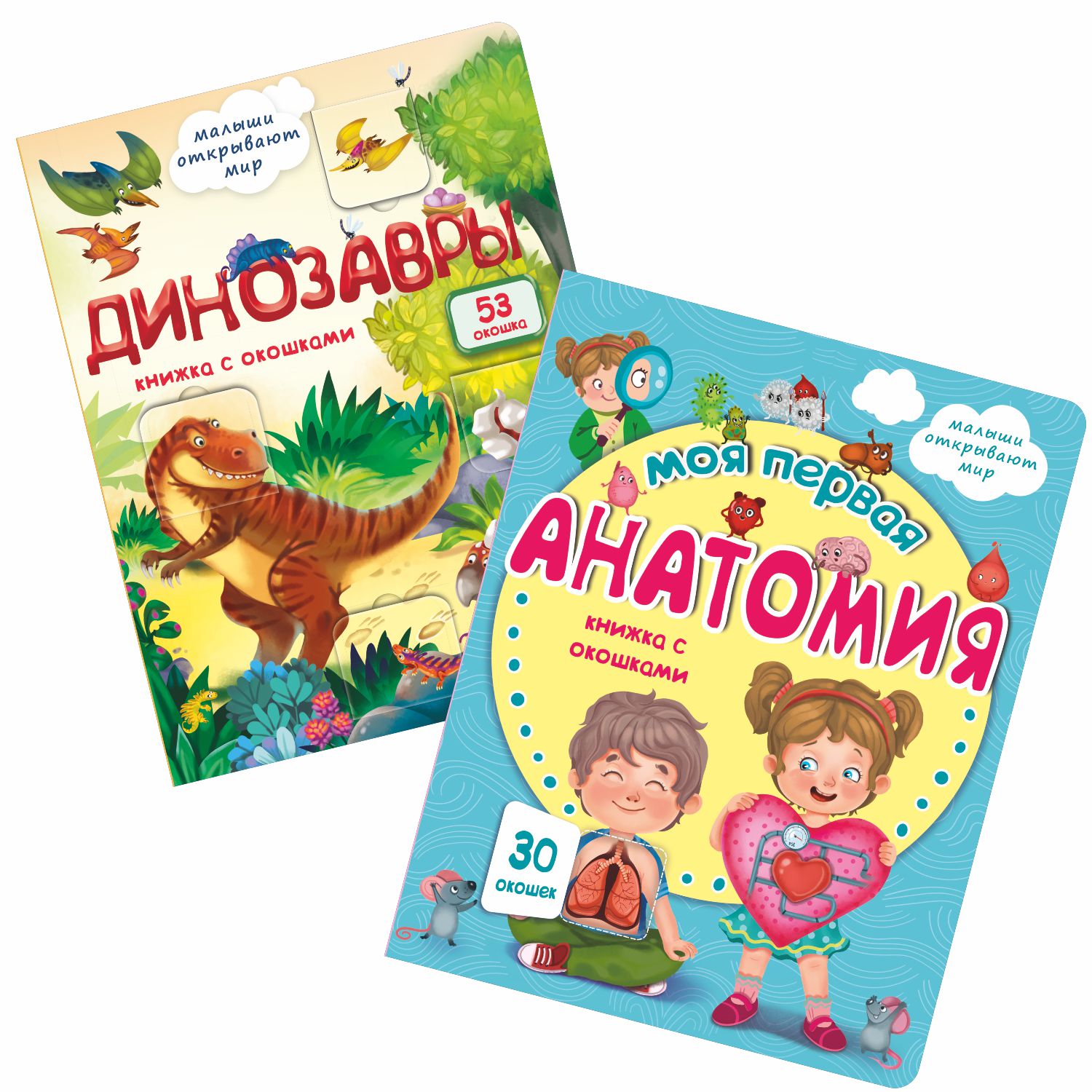 Набор книжек с окошками BimBiMon Динозавры и Моя первая анатомия - фото 1