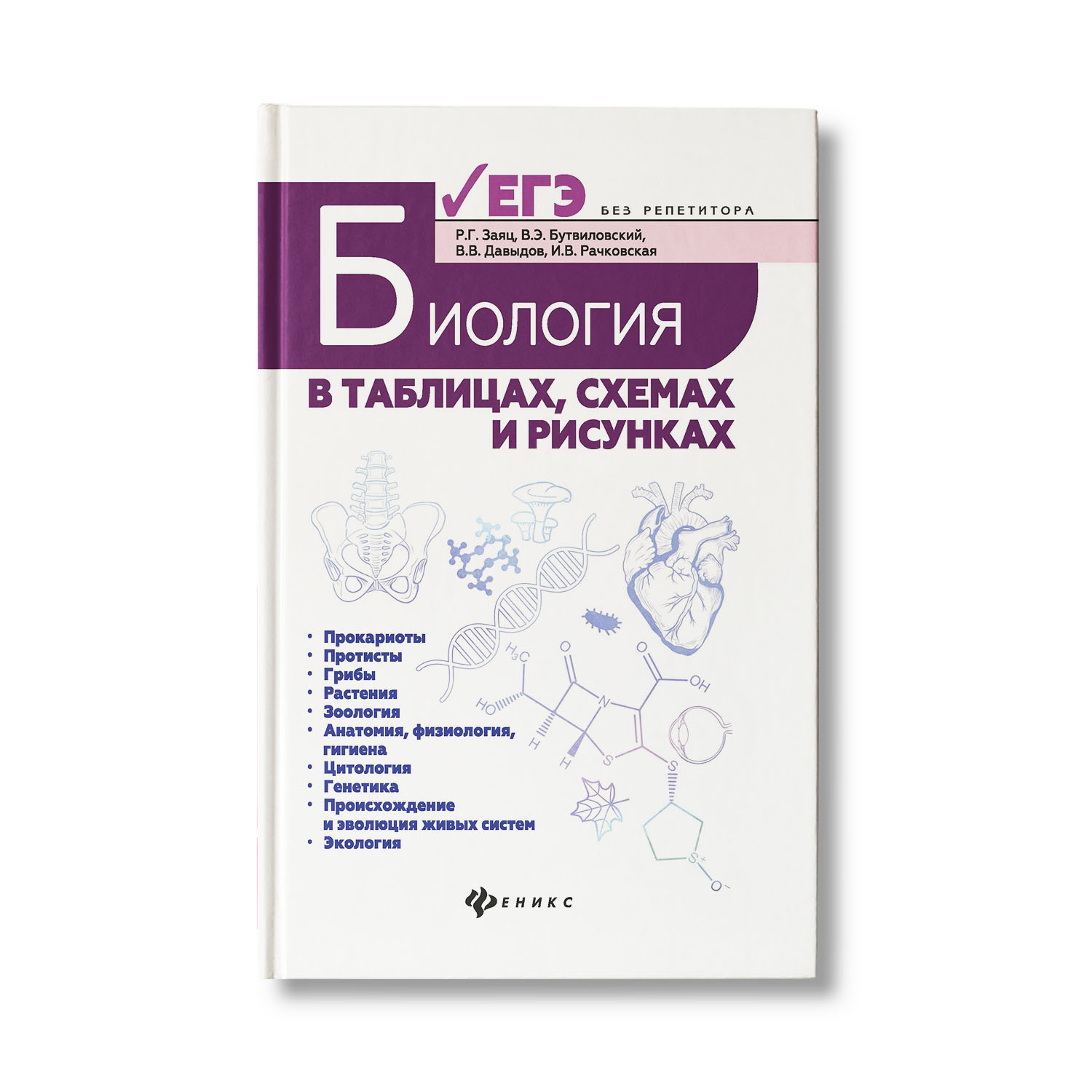 Книга ТД Феникс Биология в таблицах схемах и рисунках - фото 1