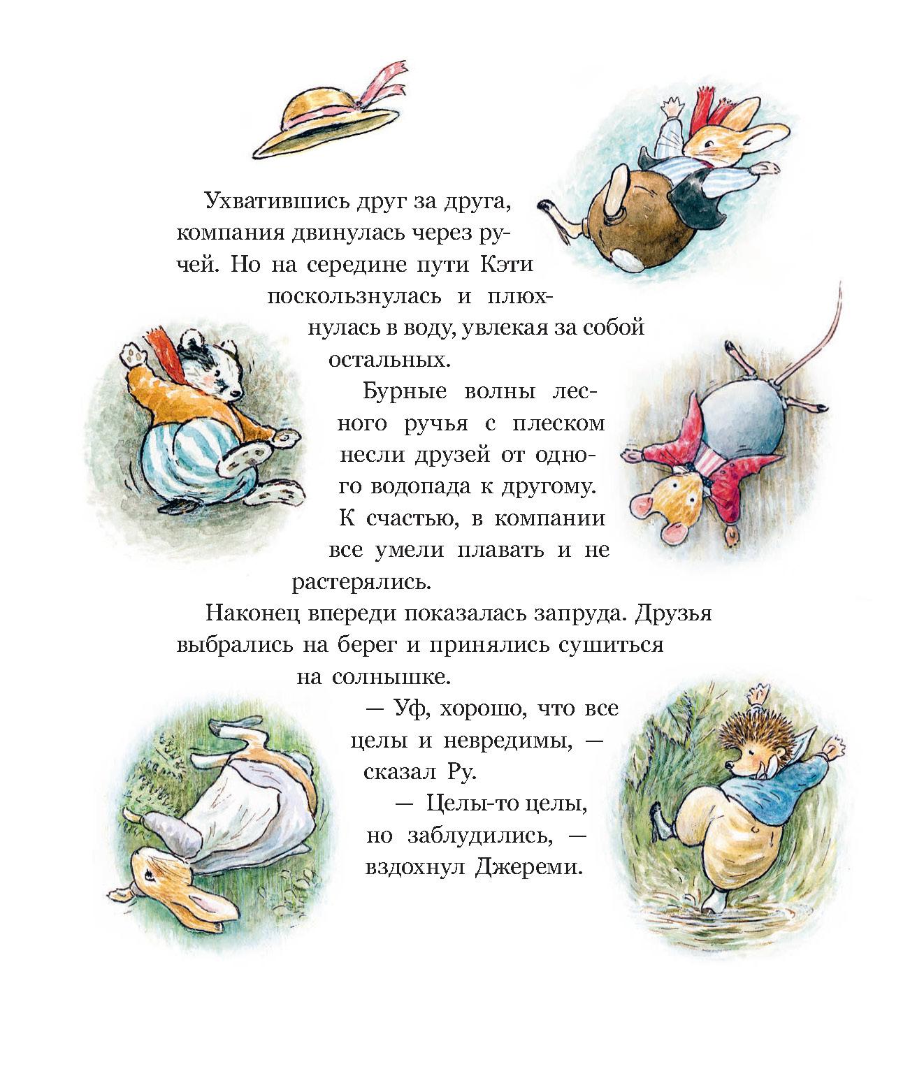 Книга Стрекозa Заколдованная долина - фото 16