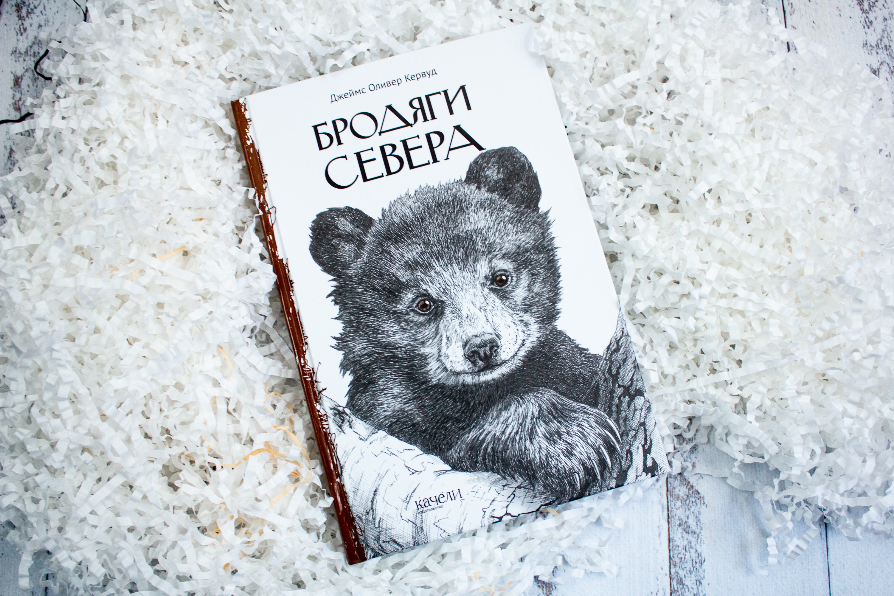 Книга Качели Бродяги Севера - фото 8