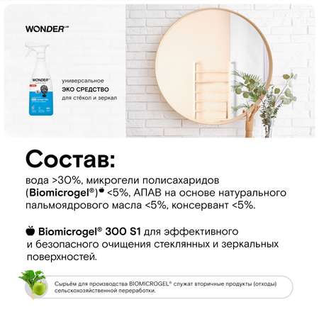 Средство для стёкол и зеркал WONDER Lab 550мл