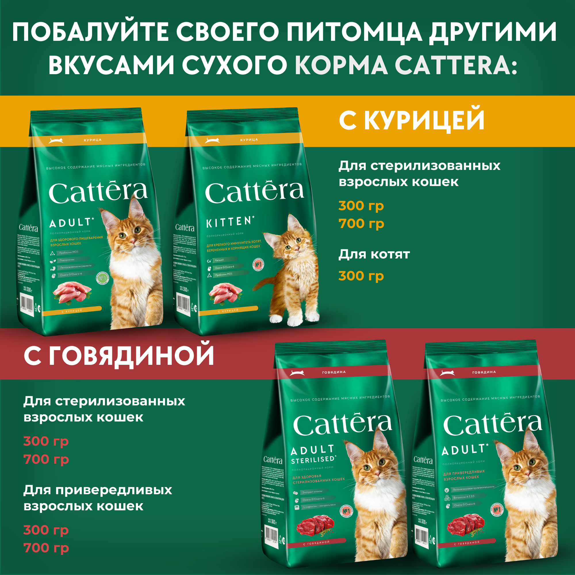 Корм сухой для кошек Cattera полнорационный с курицей для здорового пищеварения 0,3кг - фото 11