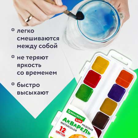 Краски акварель Brauberg 12 цв.