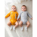 Боди 2 шт Совенок Дона