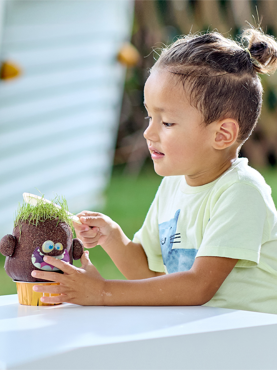 Набор для выращивания Hape - фото 1