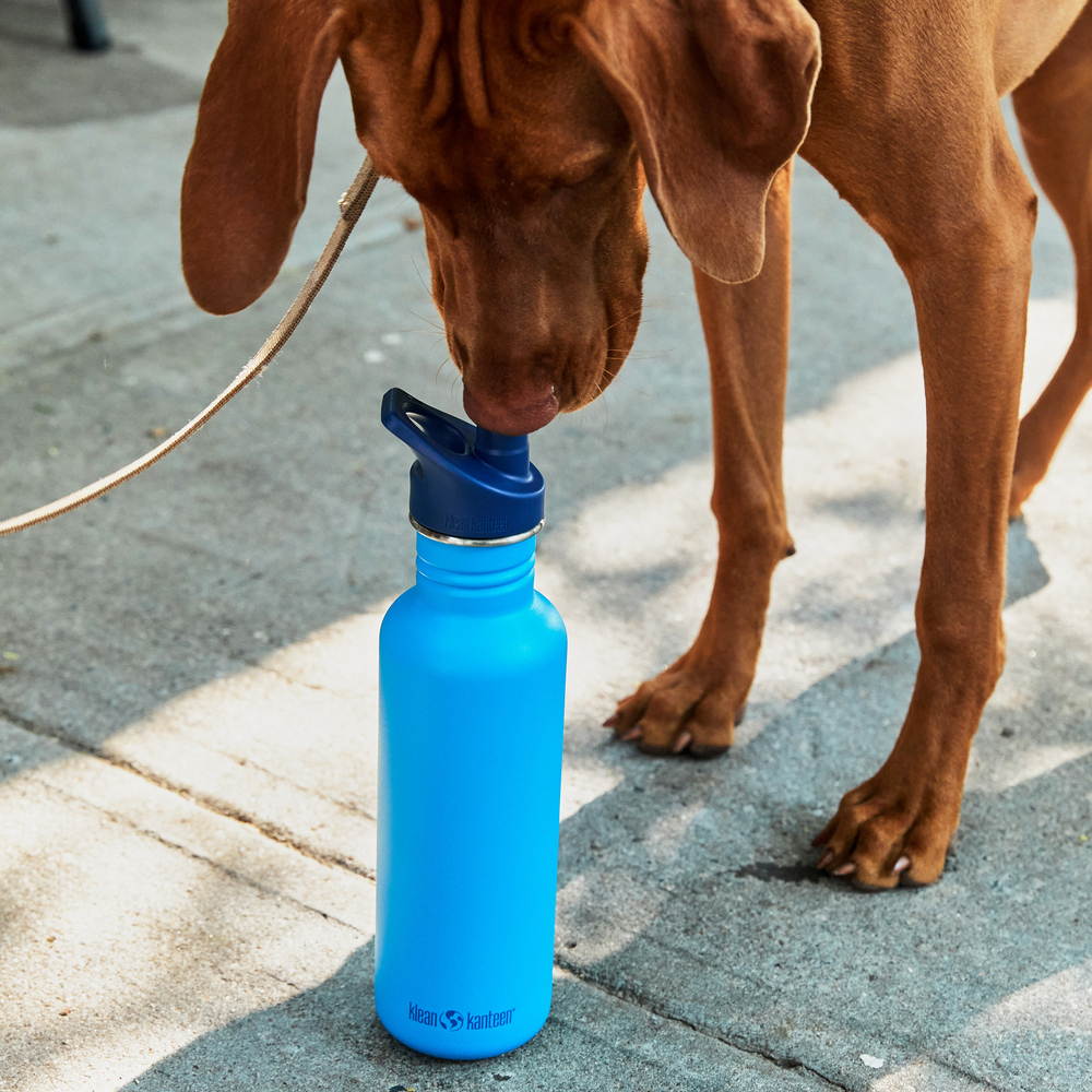 Бутылка Klean Kanteen 800 мл - фото 5