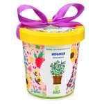 Набор для выращивания Happy Plant
