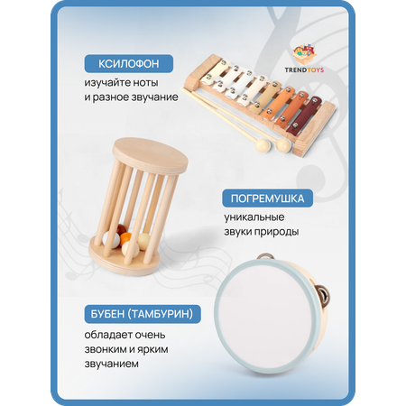 Игрушка музыкальная TrendToys бубен, маракас, ксилофон