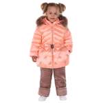 Комплект Arctic Goose