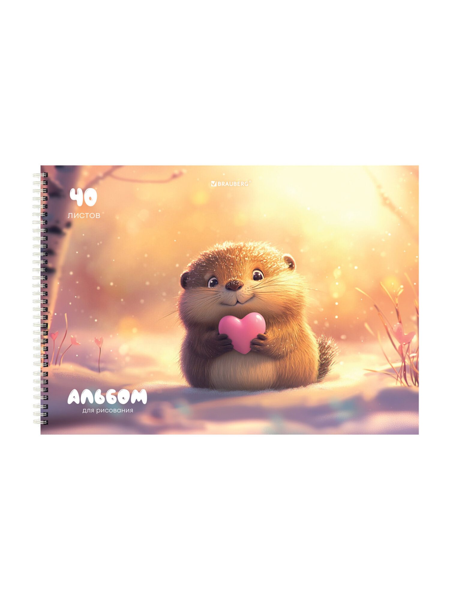 Альбом Brauberg А4 40 лист. 2 шт. - фото 5