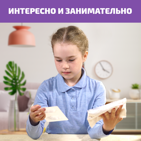 Набор для творчества LORI(колорит) слепок Домашние любимцы
