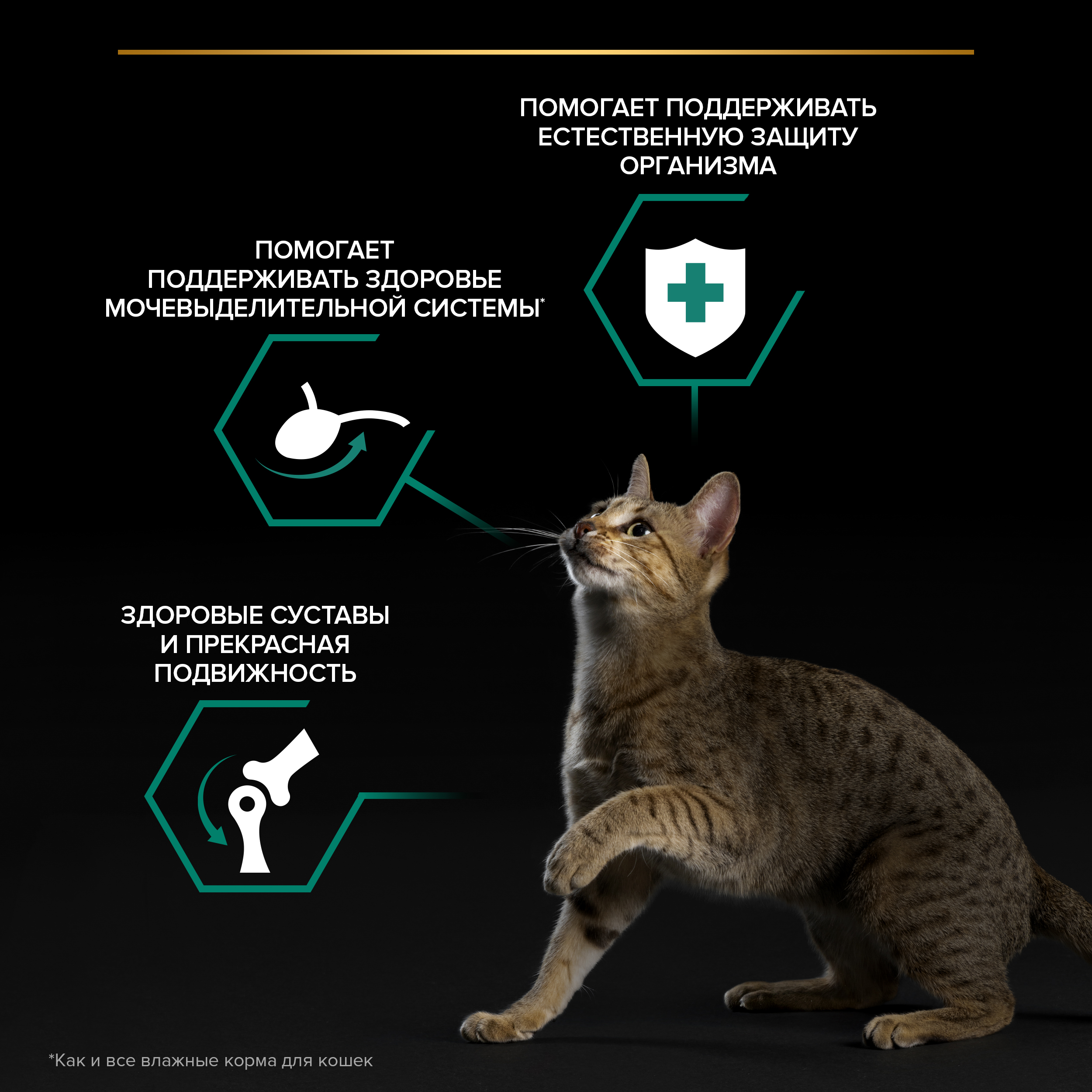 Корм влажный для кошек PRO PLAN MAINTENANCE 85г с уткой в соусе - фото 5