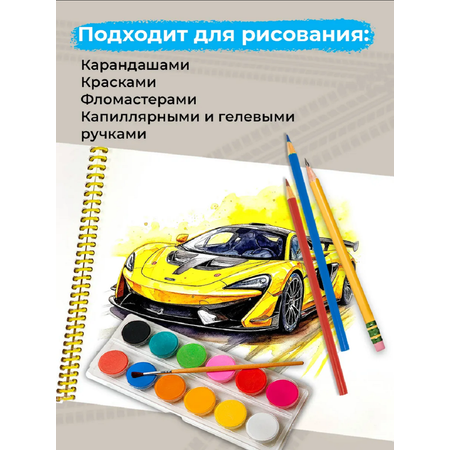 Альбом Prof-Press А4 48 лист. 2 шт.