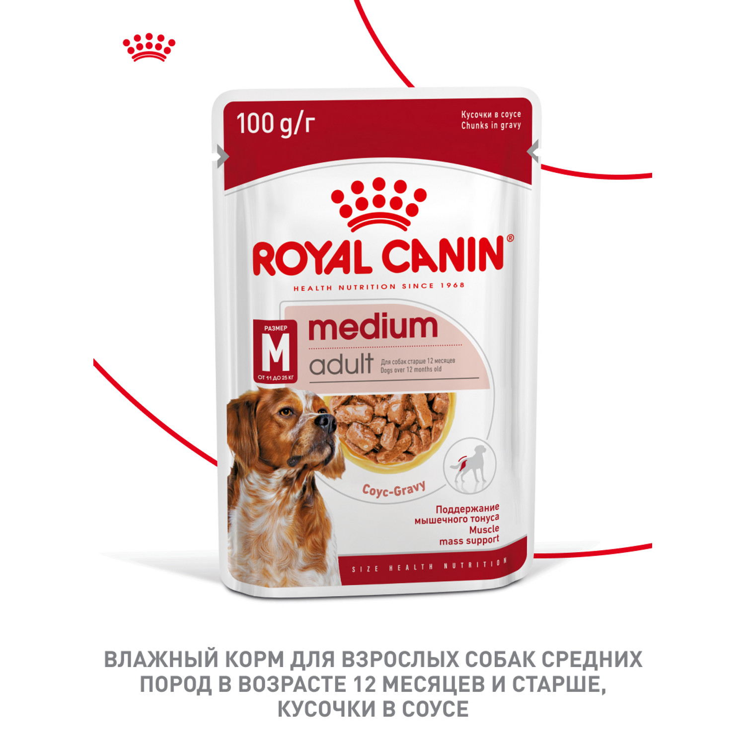 Корм для собак ROYAL CANIN Medium Adult консервированный полнорационный для взрослых собак средних размеров - фото 4