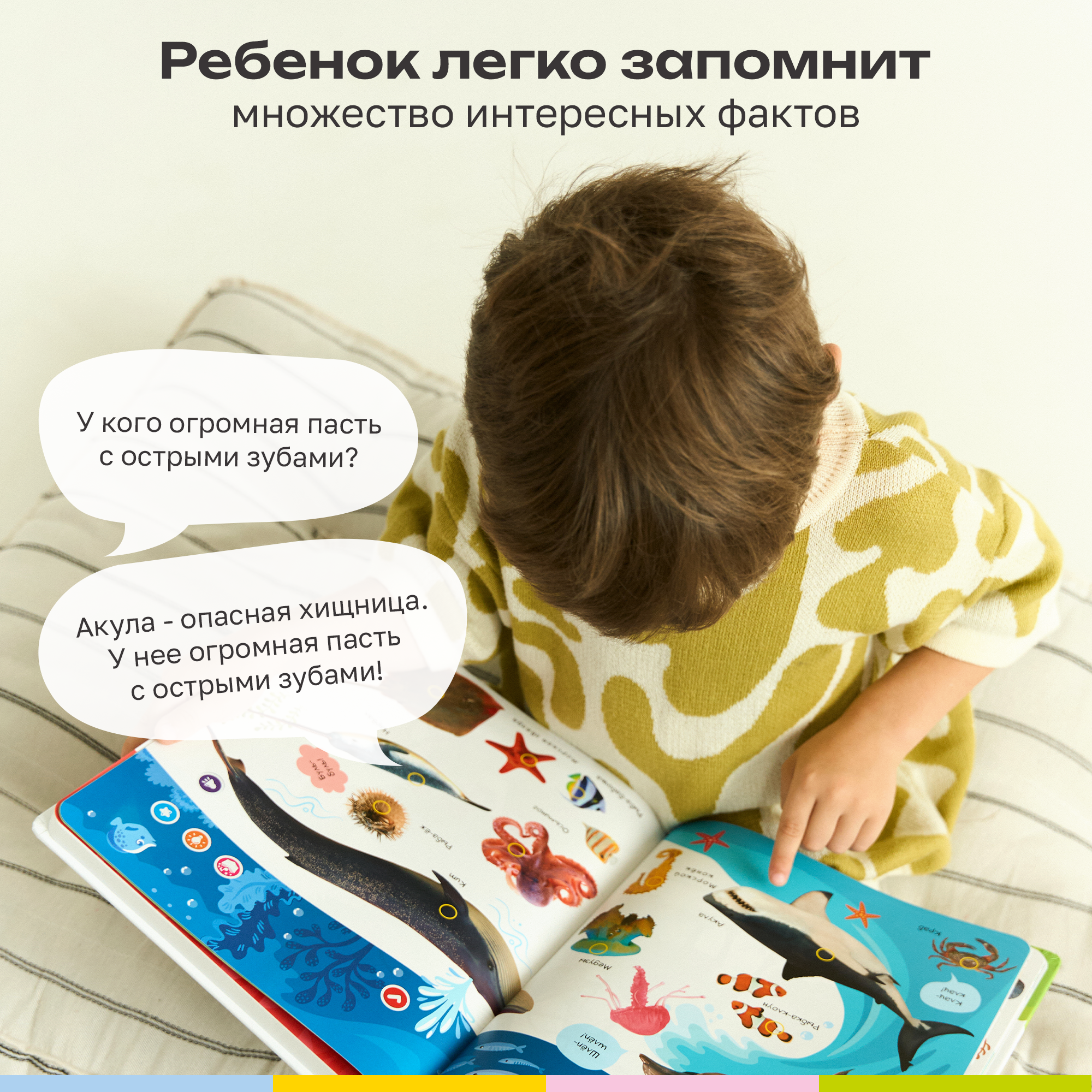 Говорящая книжка BertToys большая нажималка животные - фото 8