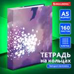 Тетрадь со сменным блоком Brauberg клетка 160 лист.