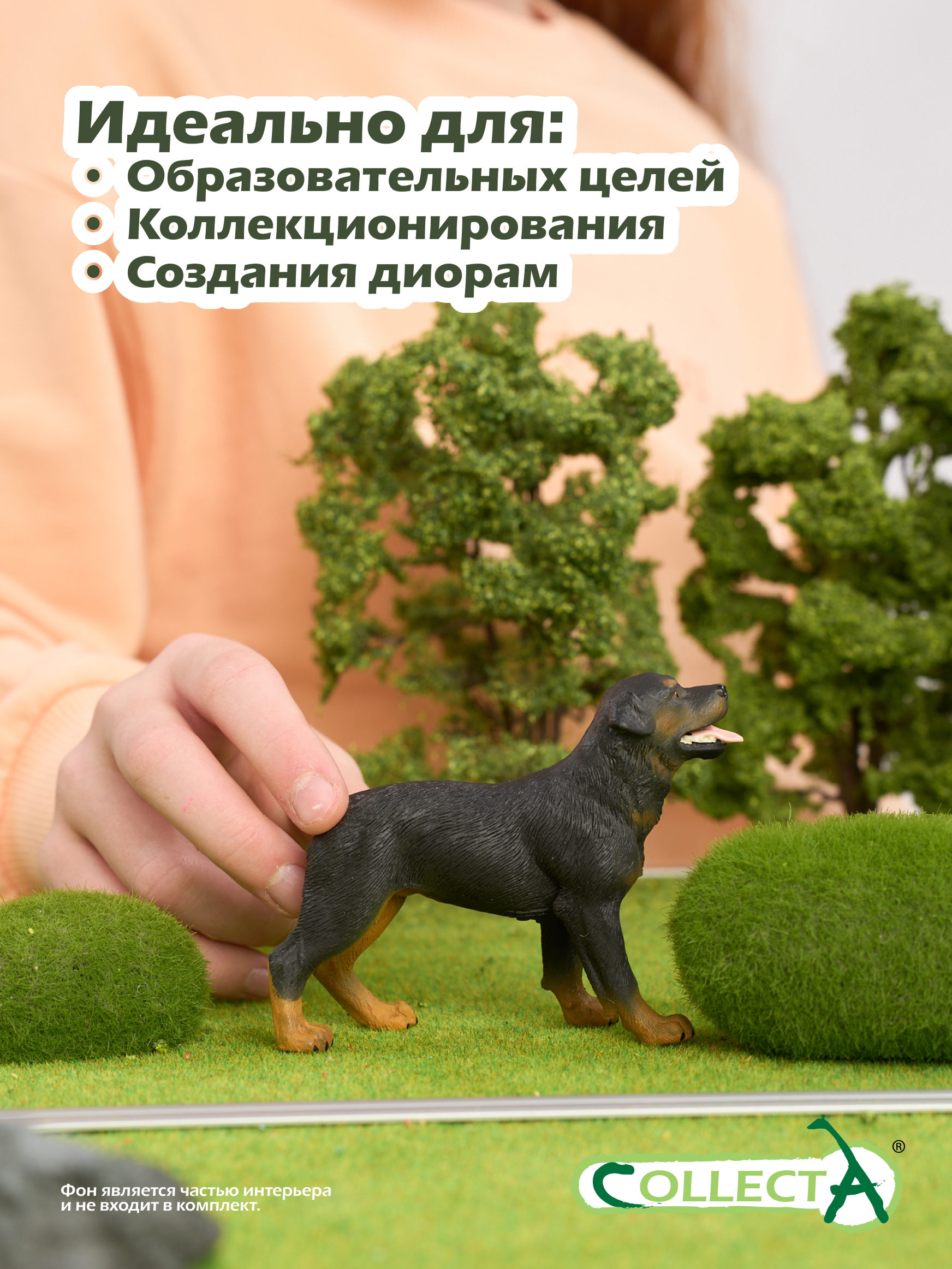 Фигурка Collecta Ротвейлер - фото 6