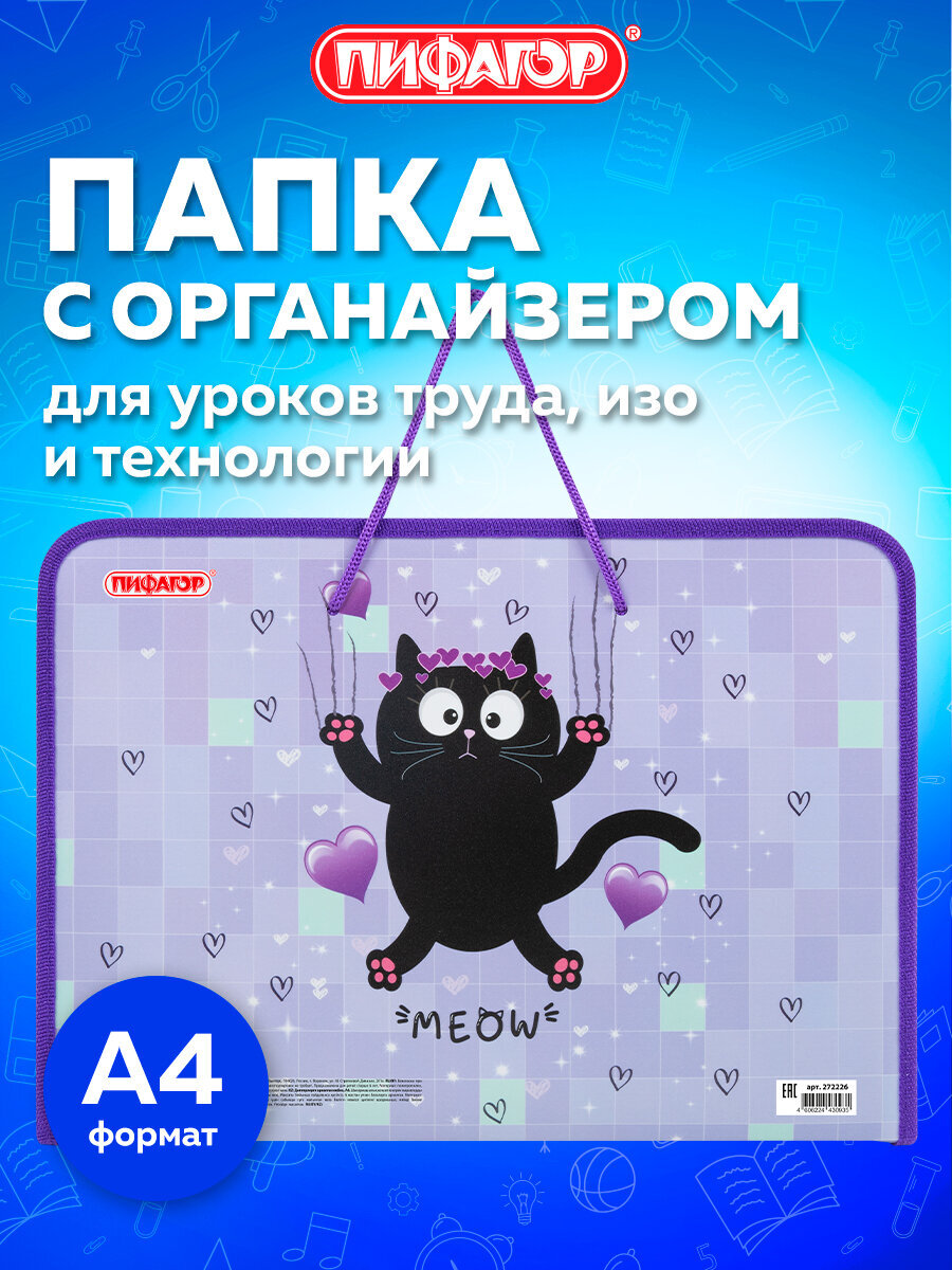 Папка для тетрадей Пифагор А4 - фото 1