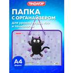 Папка для тетрадей Пифагор А4