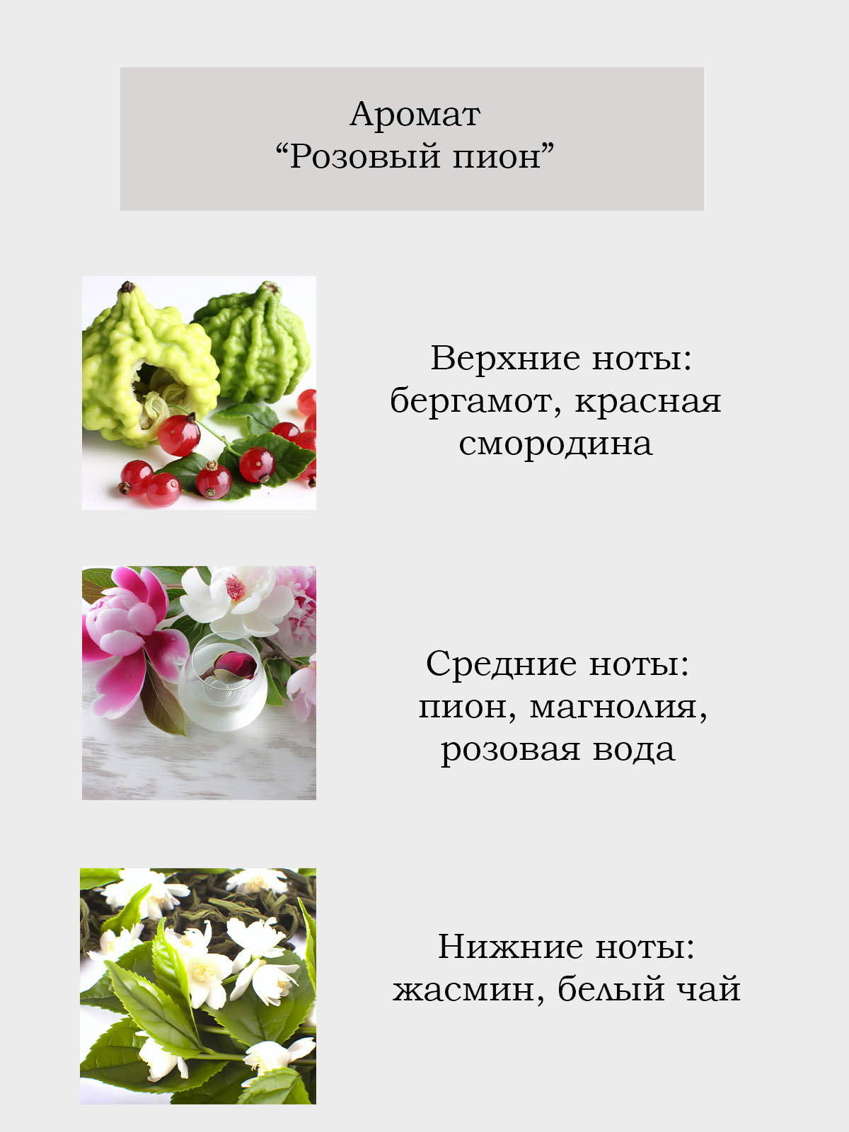 Диффузор для дома с палочками Plates and More Ароматный пион 50 мл - фото 2